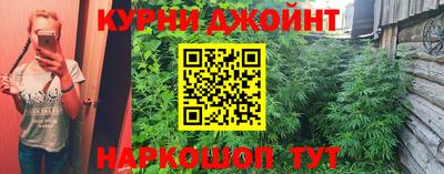 гидропоника Тверь
